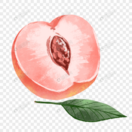 91香蕉